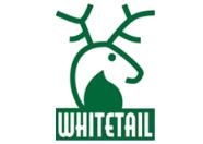 Whitetail